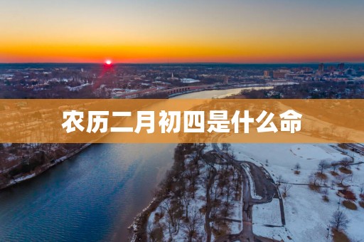 农历二月初四是什么命
