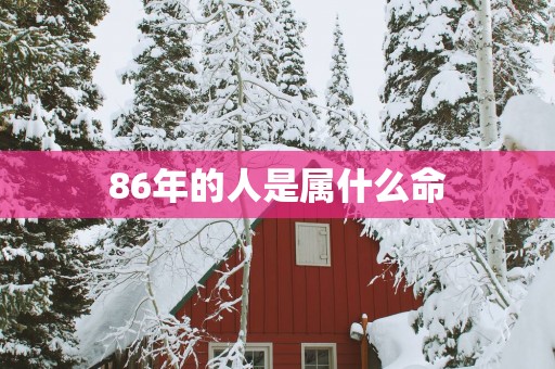86年的人是属什么命