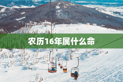 农历16年属什么命