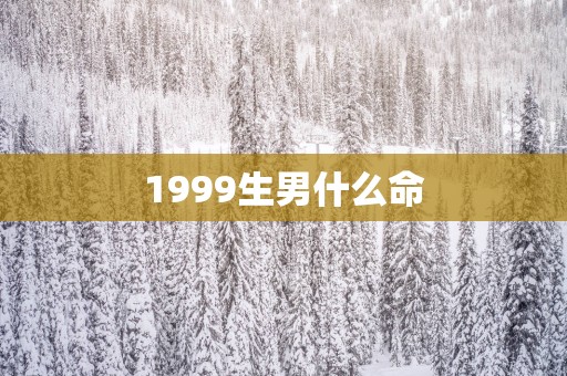 1999生男什么命 1999生男什么命