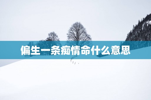 偏生一条痴情命什么意思