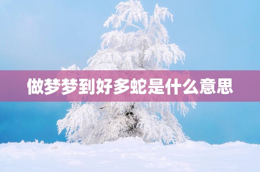 做梦梦到好多蛇是什么意思