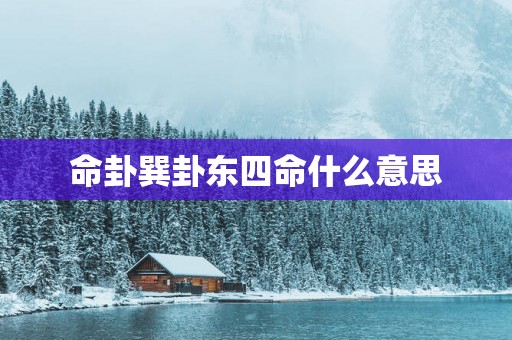 命卦巽卦东四命什么意思