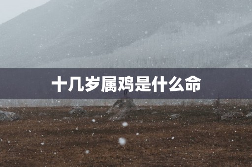 十几岁属鸡是什么命