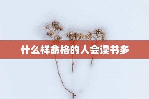 什么样命格的人会读书多
