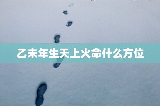 乙未年生天上火命什么方位