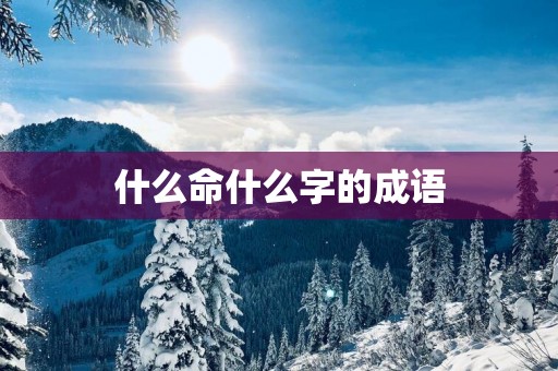 什么命什么字的成语