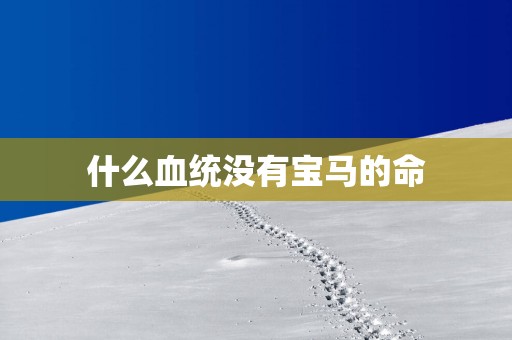 什么血统没有宝马的命