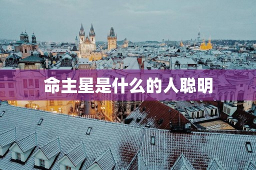 命主星是什么的人聪明