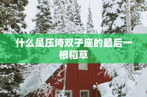 什么是压垮双子座的最后一根稻草