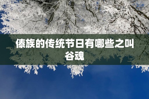 傣族的传统节日有哪些之叫谷魂