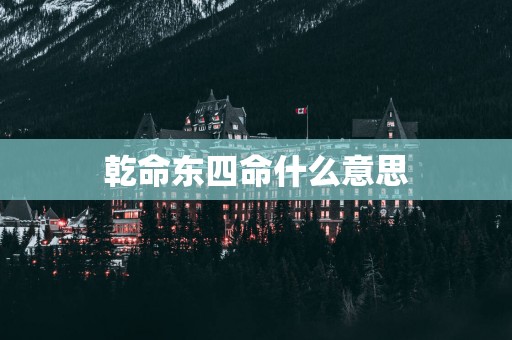 乾命东四命什么意思