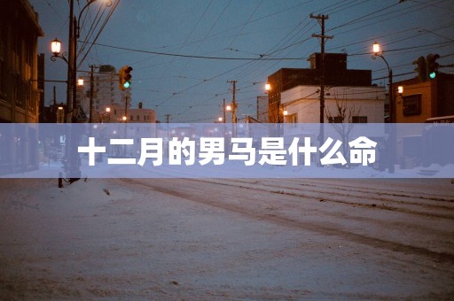 十二月的男马是什么命