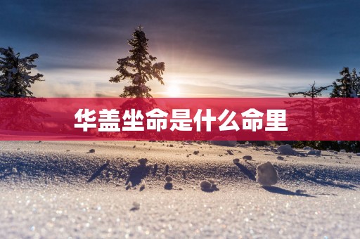 华盖坐命是什么命里