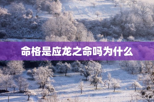 命格是应龙之命吗为什么