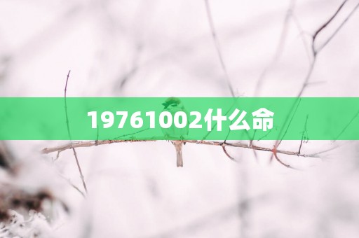 19761002什么命