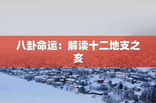八卦命运：解读十二地支之亥