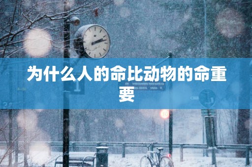 为什么人的命比动物的命重要