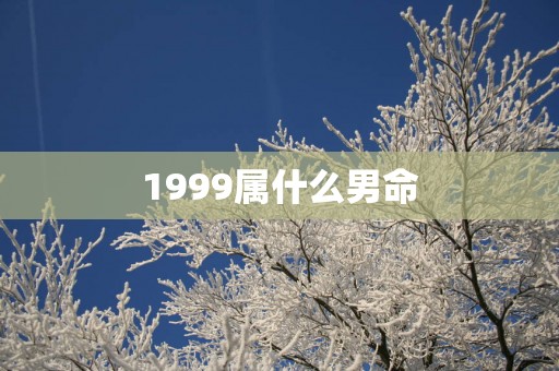 1999属什么男命