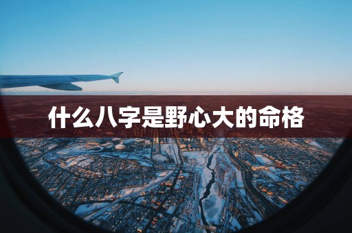 什么八字是野心大的命格