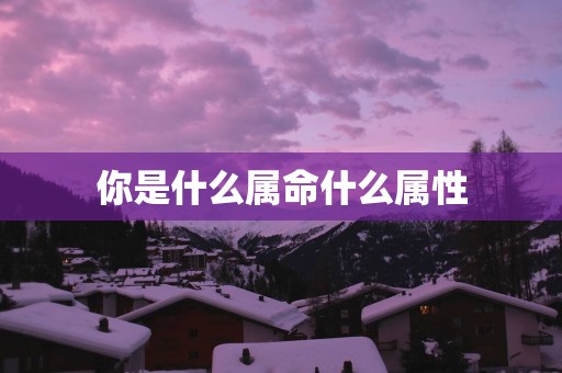 你是什么属命什么属性