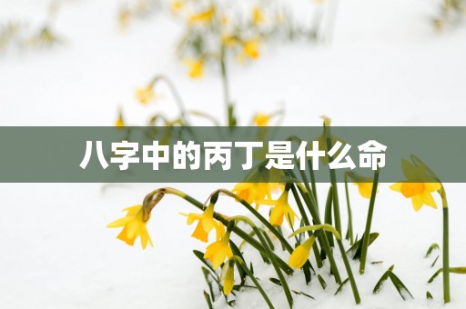 八字中的丙丁是什么命