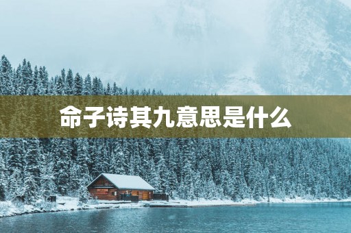 命子诗其九意思是什么
