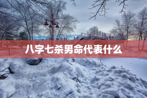八字七杀男命代表什么