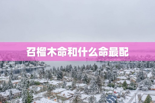 召榴木命和什么命最配