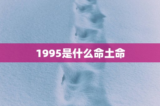 1995是什么命土命