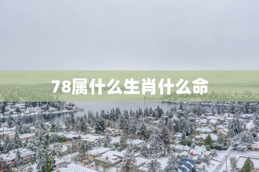 78属什么生肖什么命