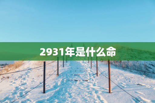 2931年是什么命