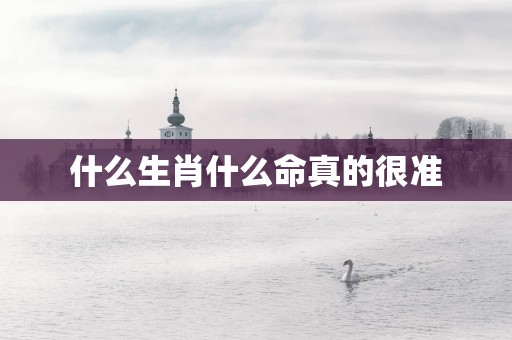 什么生肖什么命真的很准