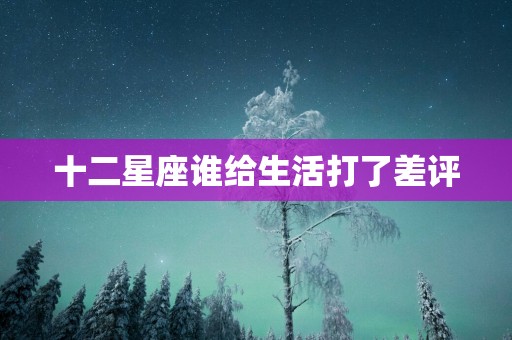 十二星座谁给生活打了差评