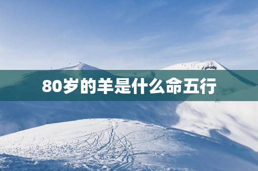 80岁的羊是什么命五行