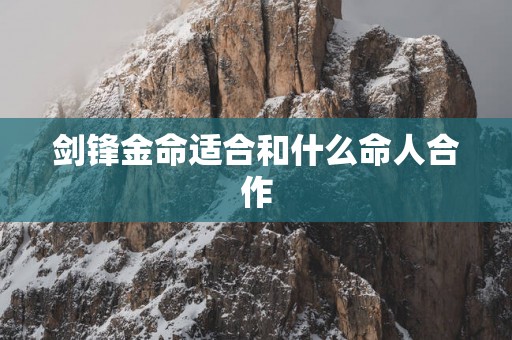 剑锋金命适合和什么命人合作