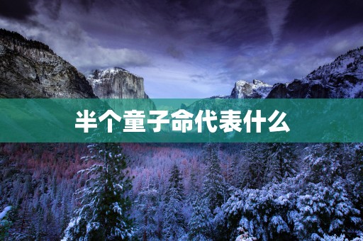 半个童子命代表什么
