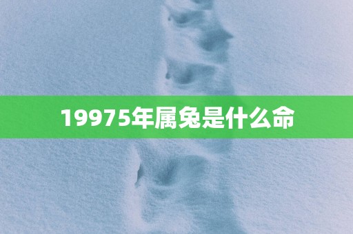19975年属兔是什么命