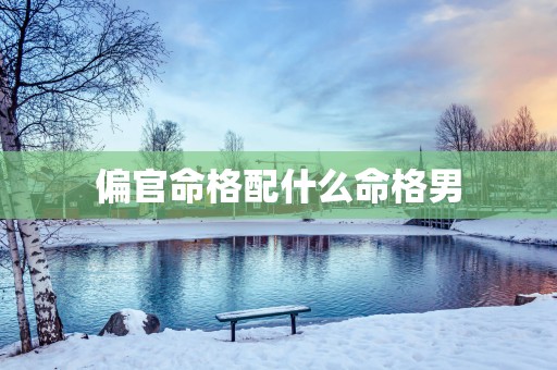 偏官命格配什么命格男