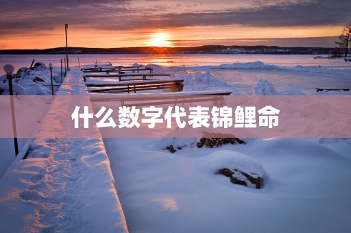 什么数字代表锦鲤命