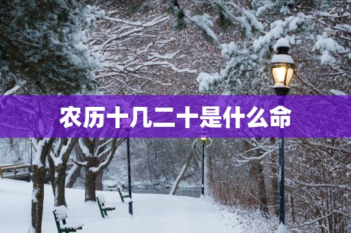 农历十几二十是什么命