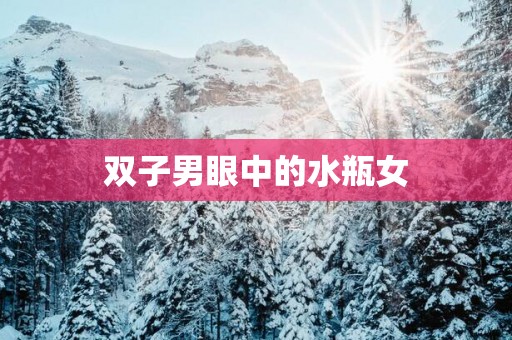 双子男眼中的水瓶女