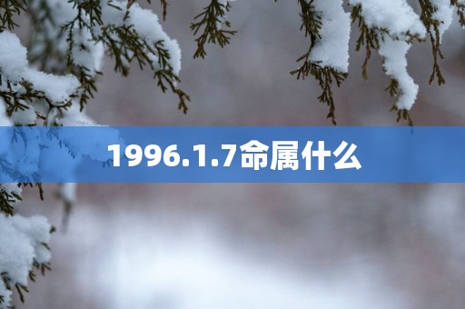 1996.1.7命属什么