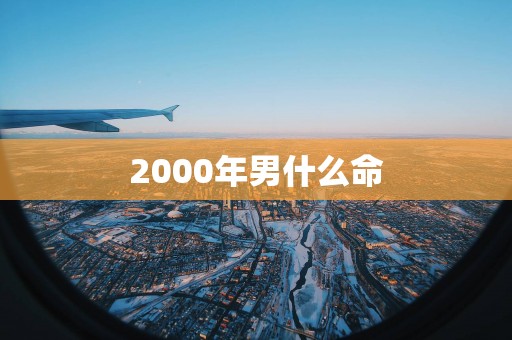 2000年男什么命