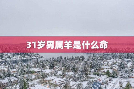 31岁男属羊是什么命