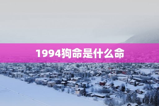 1994狗命是什么命