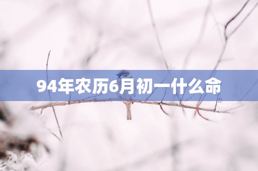 94年农历6月初一什么命