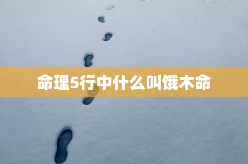 命理5行中什么叫饿木命