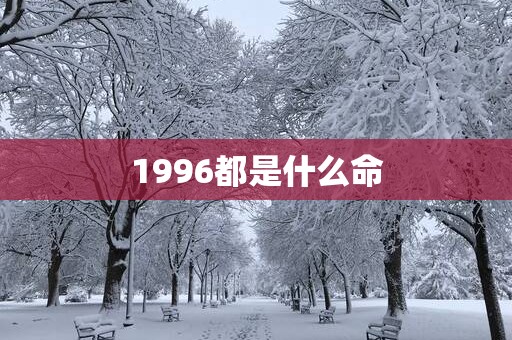 1996都是什么命