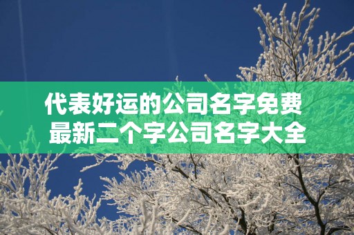 代表好运的公司名字免费 最新二个字公司名字大全